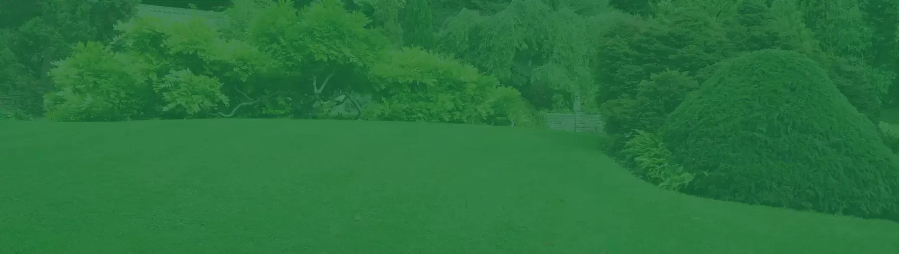 Zahrada-s-upravenym-travnikem-a-zeleni