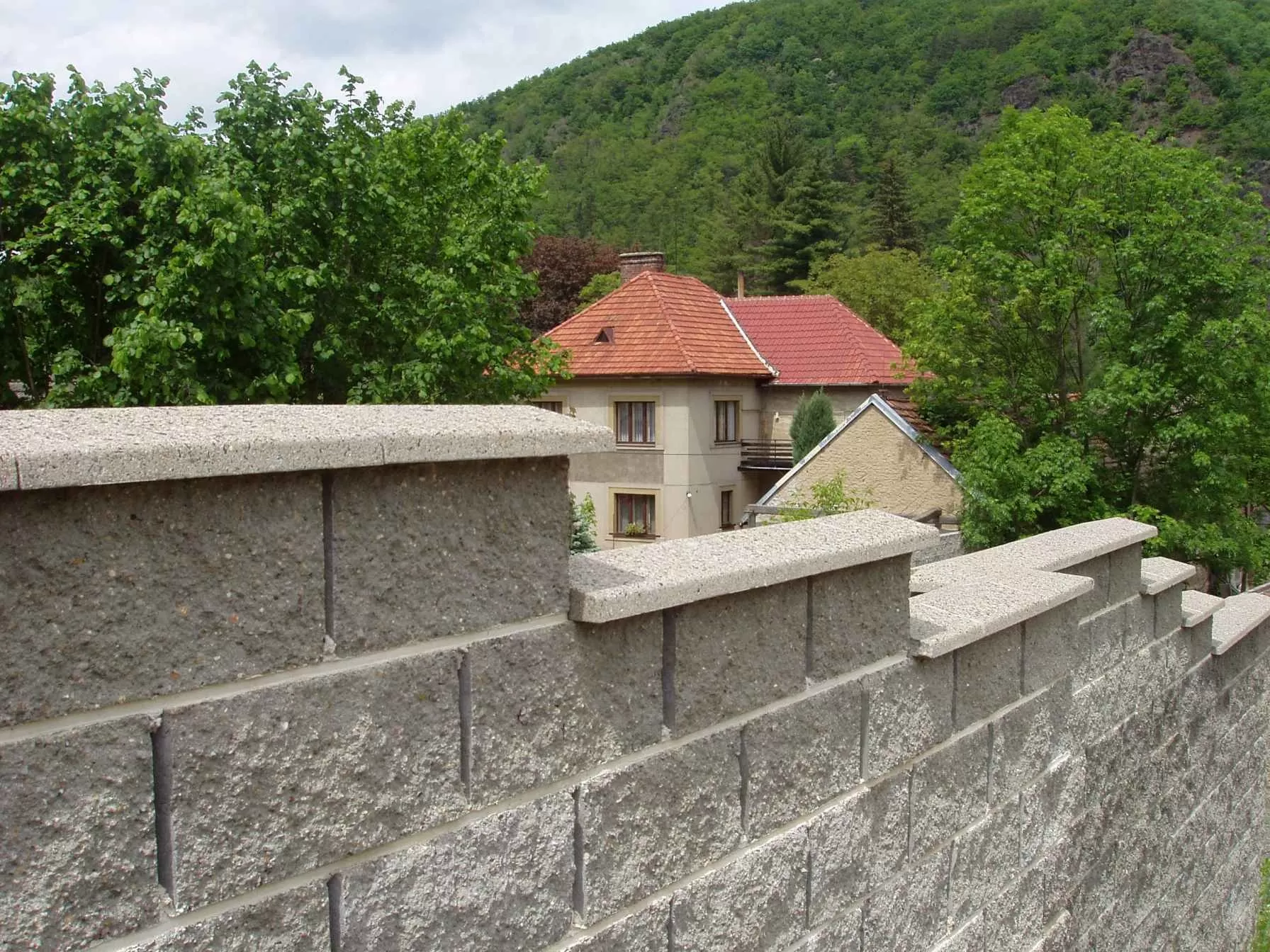 Betonova-tvarnicova-zed-s-rodinnym-domem-v-pozadi