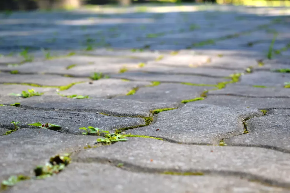 Prevence začíná už na podzim